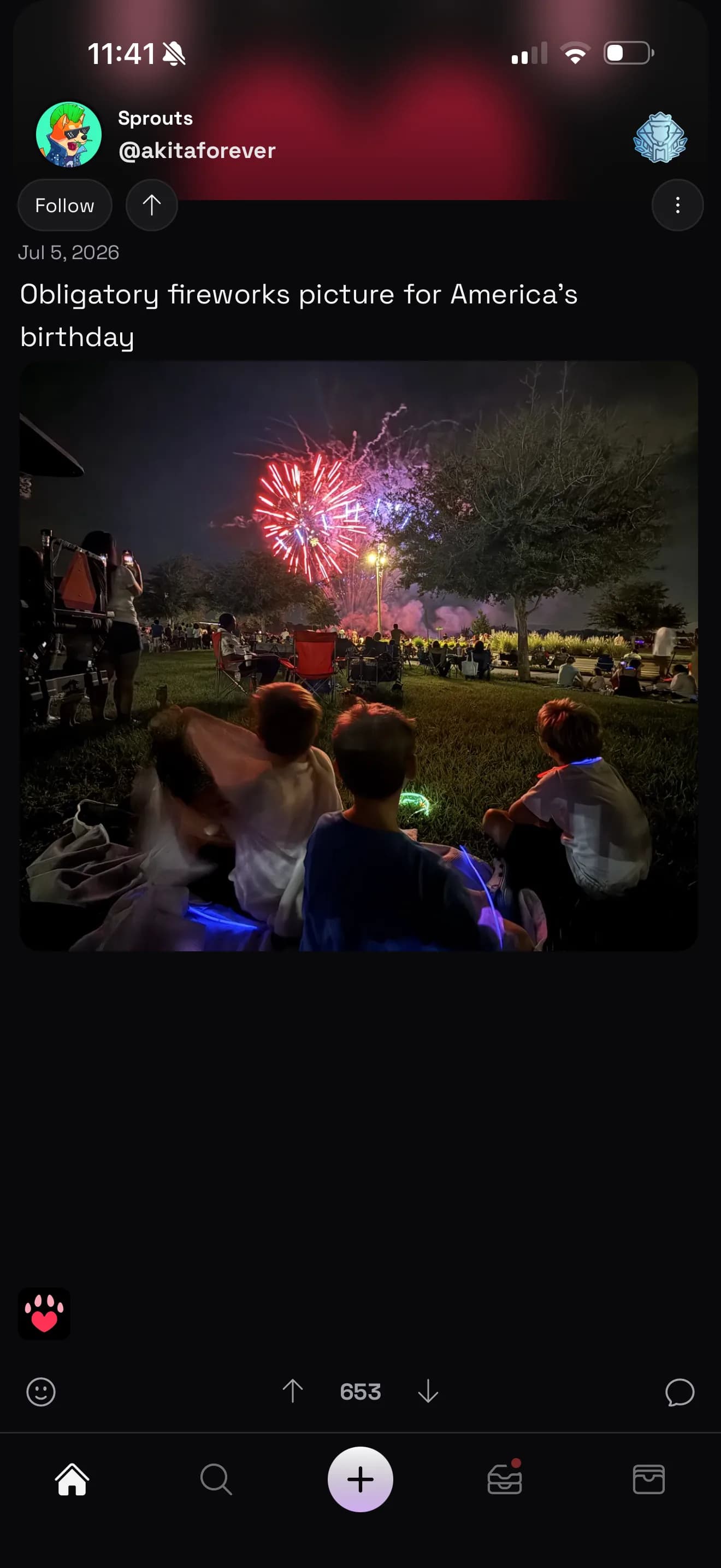 An Akita Hyperspace community post featuring a fireworks photo