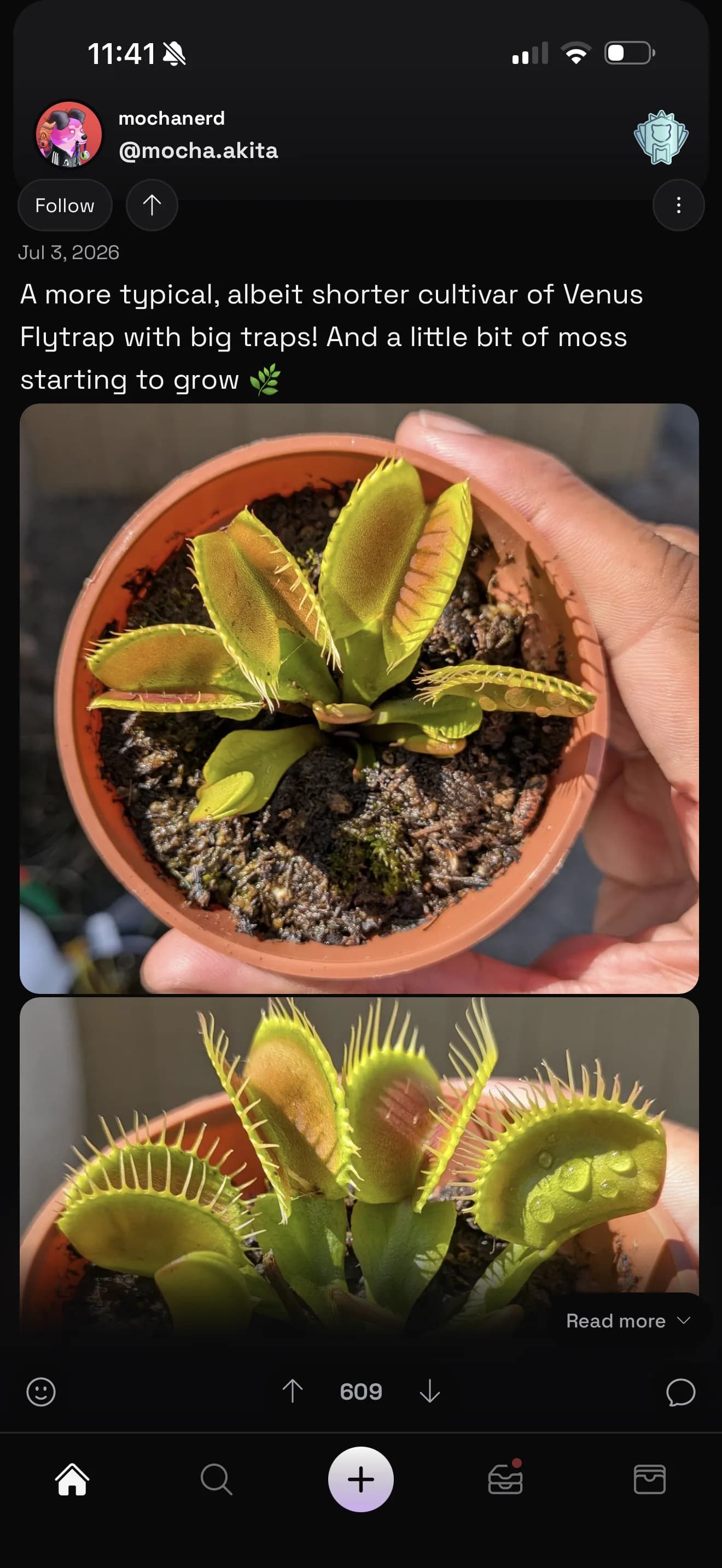 An Akita Hyperspace post featuring detailed Venus flytrap photography